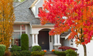 A house with trees in front of it.